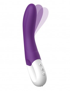 LIEBE BEND IT RECHARGEABLE...