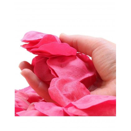 MELTING ROSE PETALS