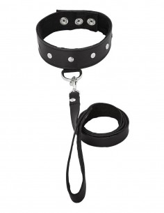 LEATHER LEASH & COLLAR
