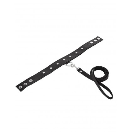 LEATHER LEASH & COLLAR