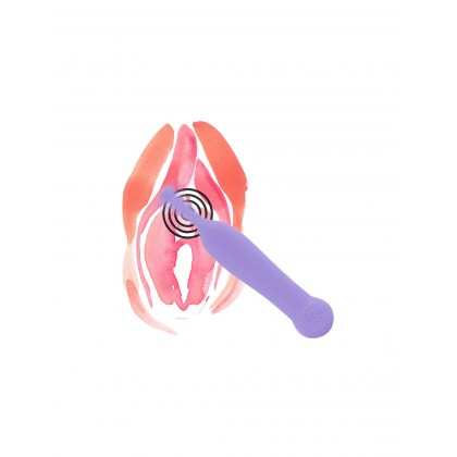 MISTER SWEETSPOT PURPLE