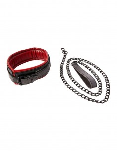 Saffron Leash & Collar