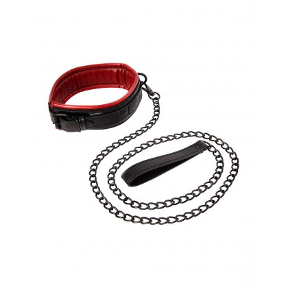 Saffron Leash & Collar