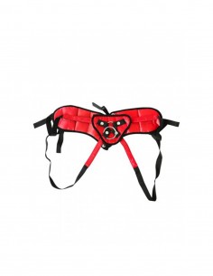 PLUS SIZE RED LACE W/SATIN...