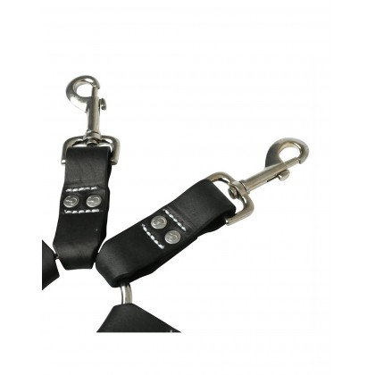 Leather Hog Tie
