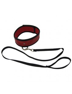 Red Leash & Collar