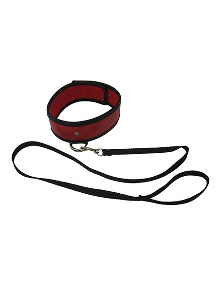 Red Leash & Collar