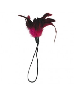 Pluma Para El Placer Rosa